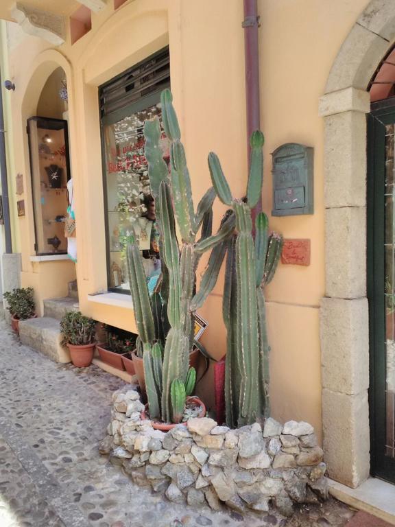 Le Piccole Grotte Bed & Breakfast Scilla Exterior photo